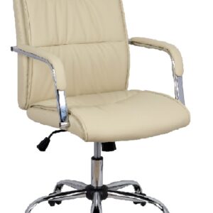 SILLON DIRECTOR BRYAN